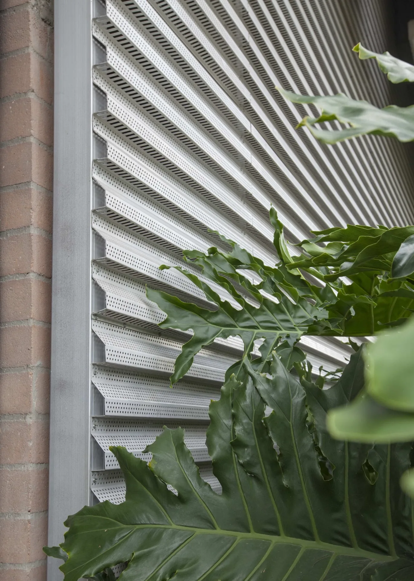 Close view of perforated aluminum louver screen blades beside landscaping